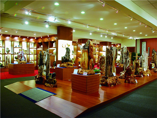 隆盛木化石博物館